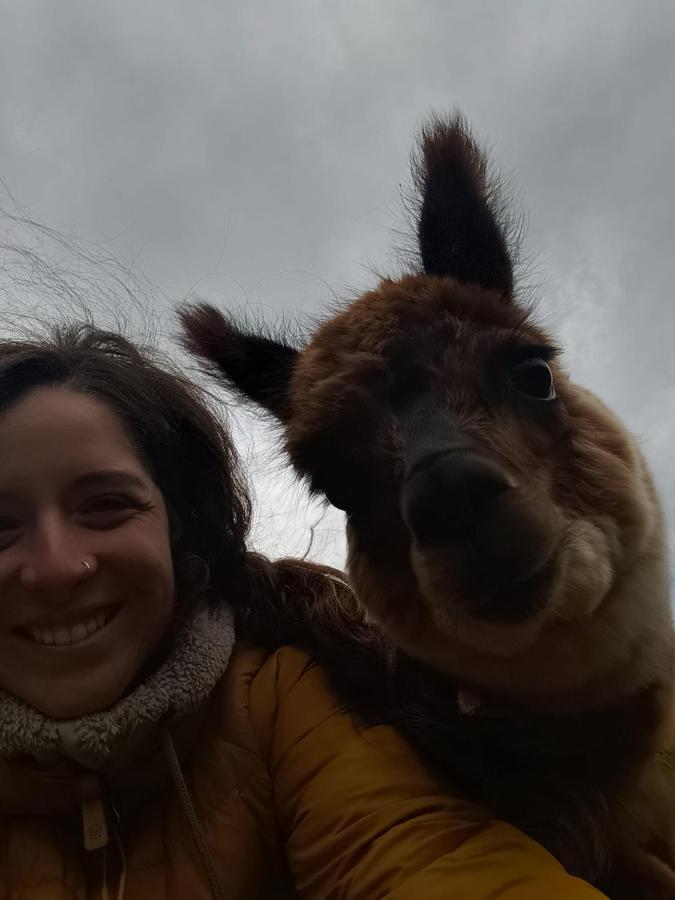 Glamping Patagonia Nativa Rural Hotel Coyhaique Esterno foto