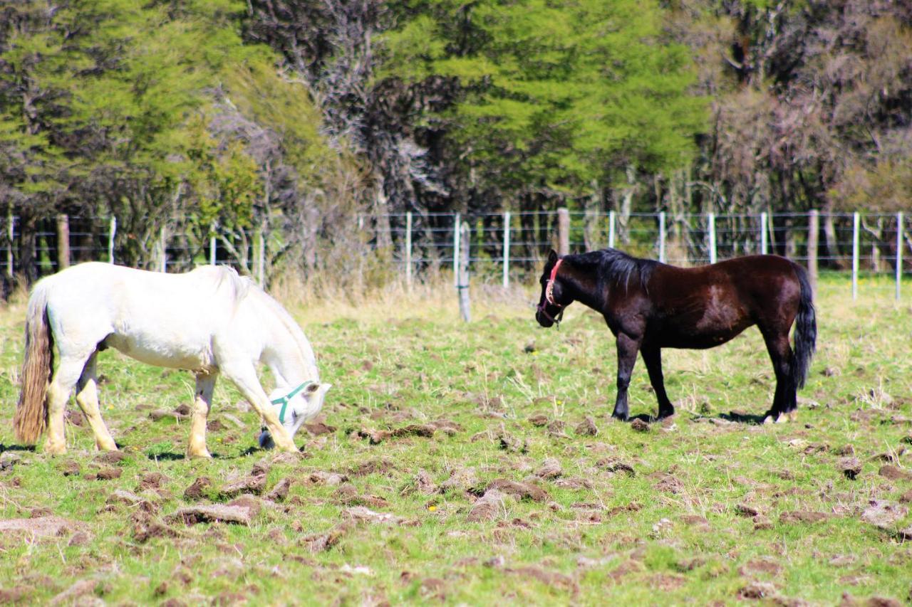 Glamping Patagonia Nativa Rural Hotel Coyhaique Esterno foto