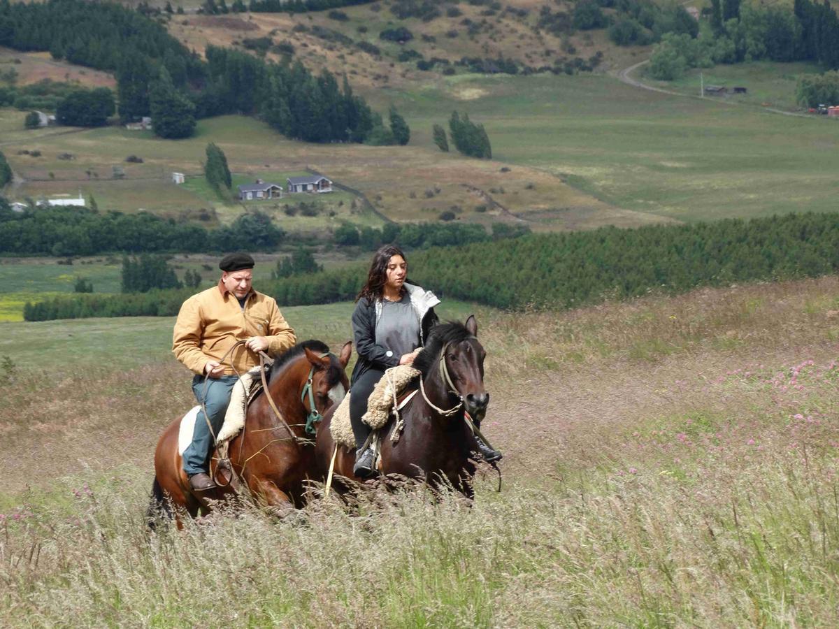 Glamping Patagonia Nativa Rural Hotel Coyhaique Esterno foto