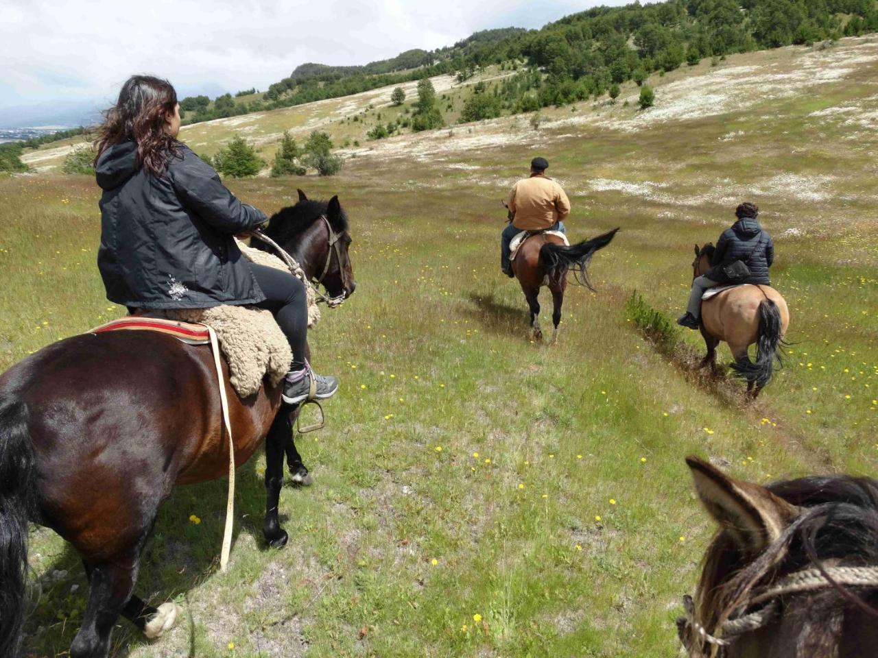 Glamping Patagonia Nativa Rural Hotel Coyhaique Esterno foto